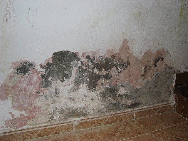 Decorpaint pinturas y tatamientos de humedades en Ávila